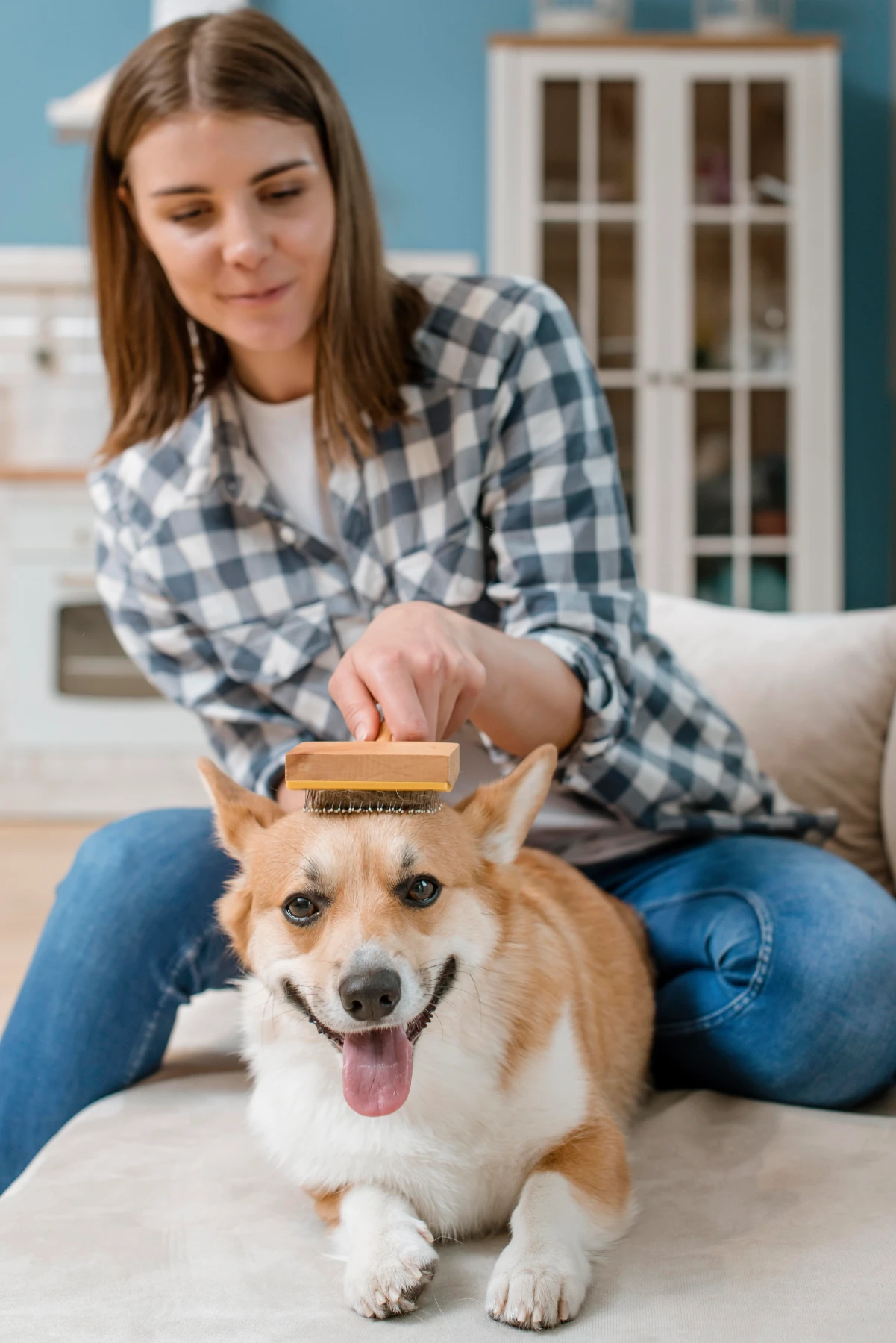 Servicio de peluquería canina profesional con un caniche bien arreglado siendo estilizado por un peluquero experto